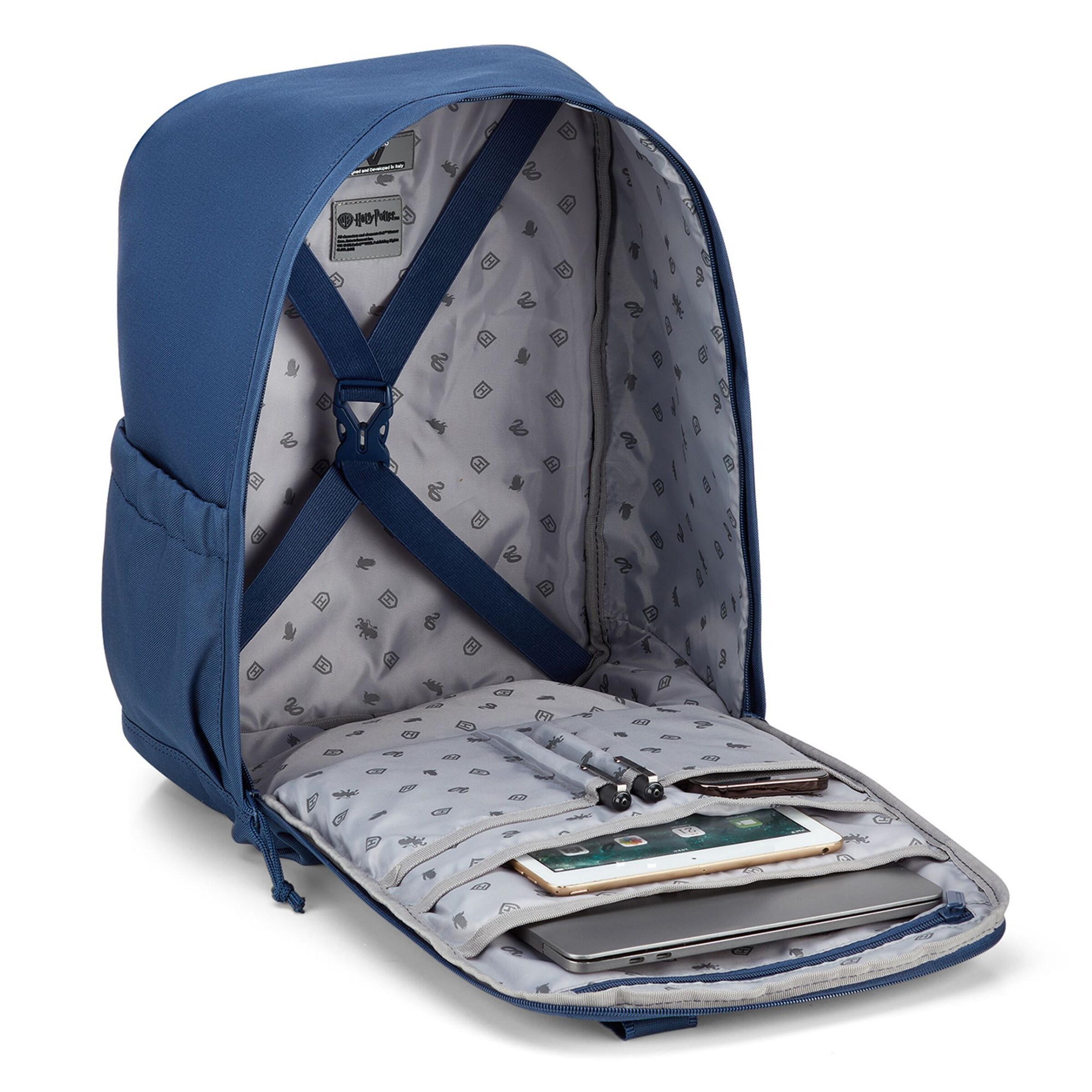 Roncato Backpack 'Warner Bros' in Blue