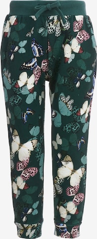 Gulliver Regular Pants in Green: front