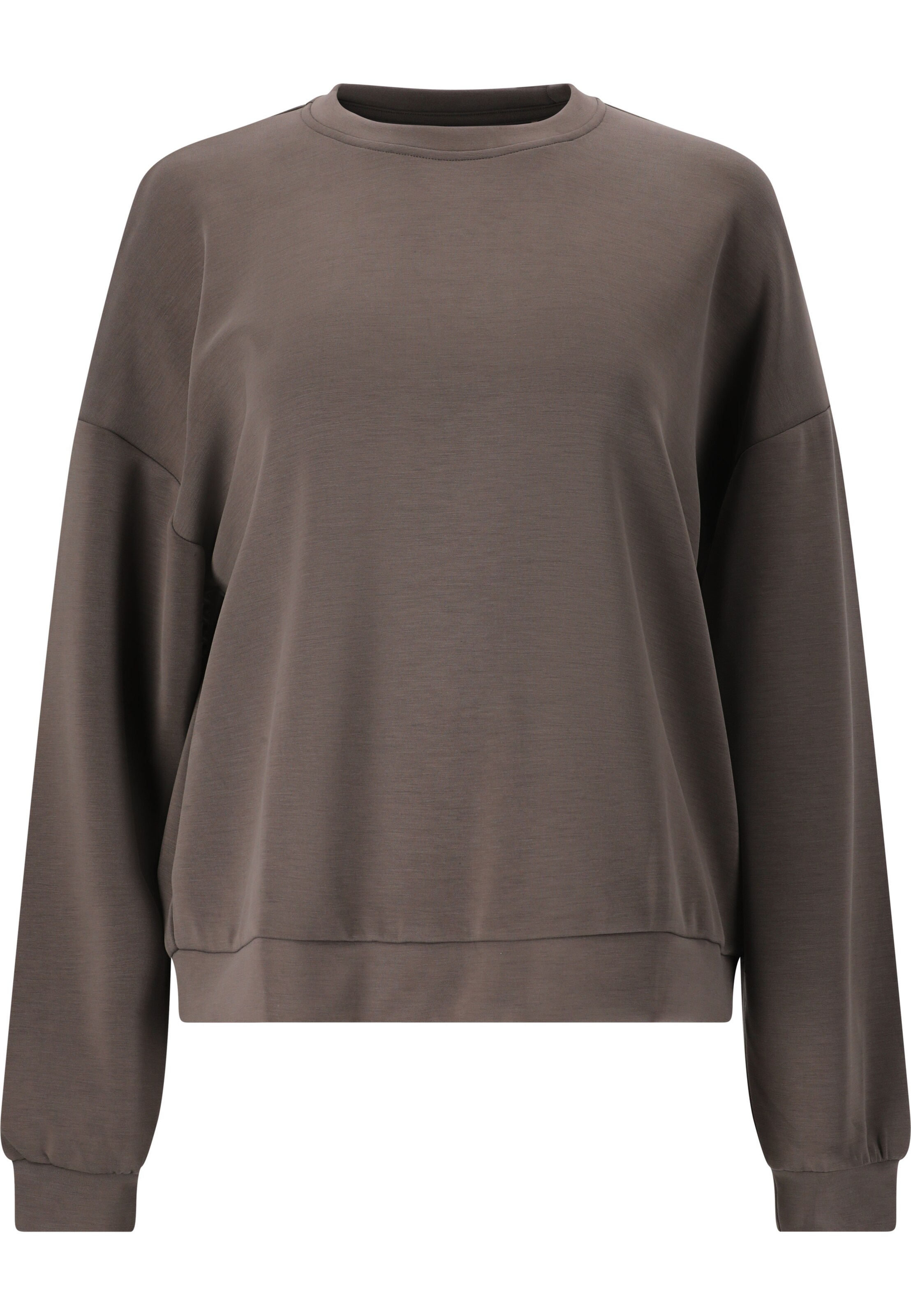Athlecia Sweatshirt 'Jillnana' in Braun: Vorderseite