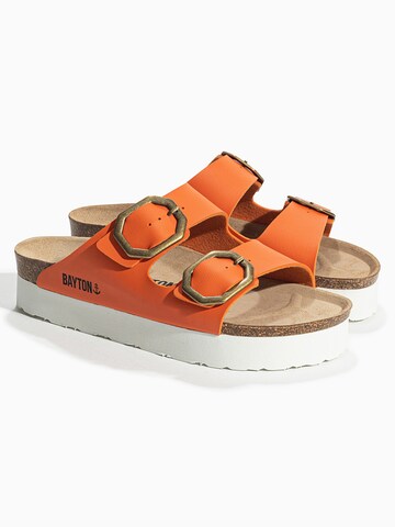 Bayton Mule 'JAPET' in Orange