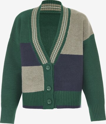 Cardigan boline en vert : devant