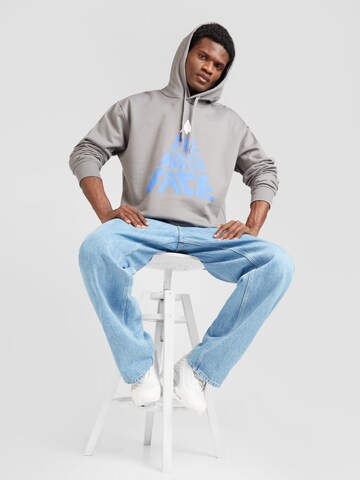 THE NORTH FACE Sweatshirt in Grijs