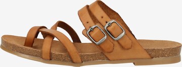 COSMOS COMFORT T-Bar Sandals in Beige