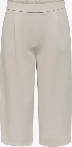 Regular Pantaloni cutați 'JDYGEGGO' de la JDY pe gri: față