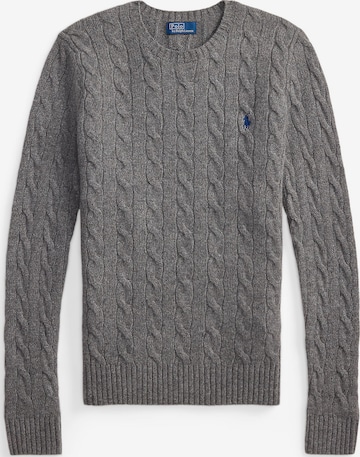 Polo Ralph Lauren Свитер в Серый: спереди