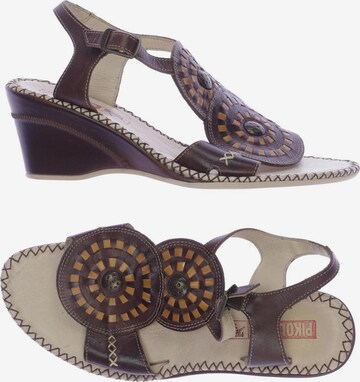 PIKOLINOS Sandals & High-Heeled Sandals in 36 in Brown: front