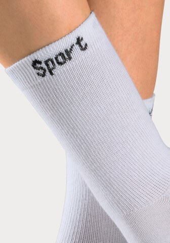 BENCH Athletic Socks in White