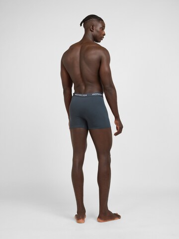 WOTEGA Boxershorts 'Joe' in Grau