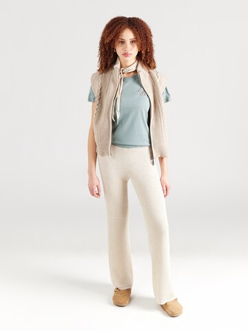 Iriedaily Shirts 'Puffy Dog' i blå