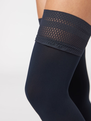 CALZEDONIA Fine Stockings in Blue