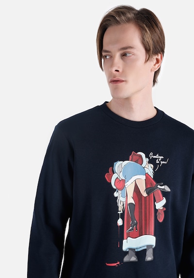 Colin's Sweat-shirt en beige clair / marine / opal / rouge sang, Vue avec produit