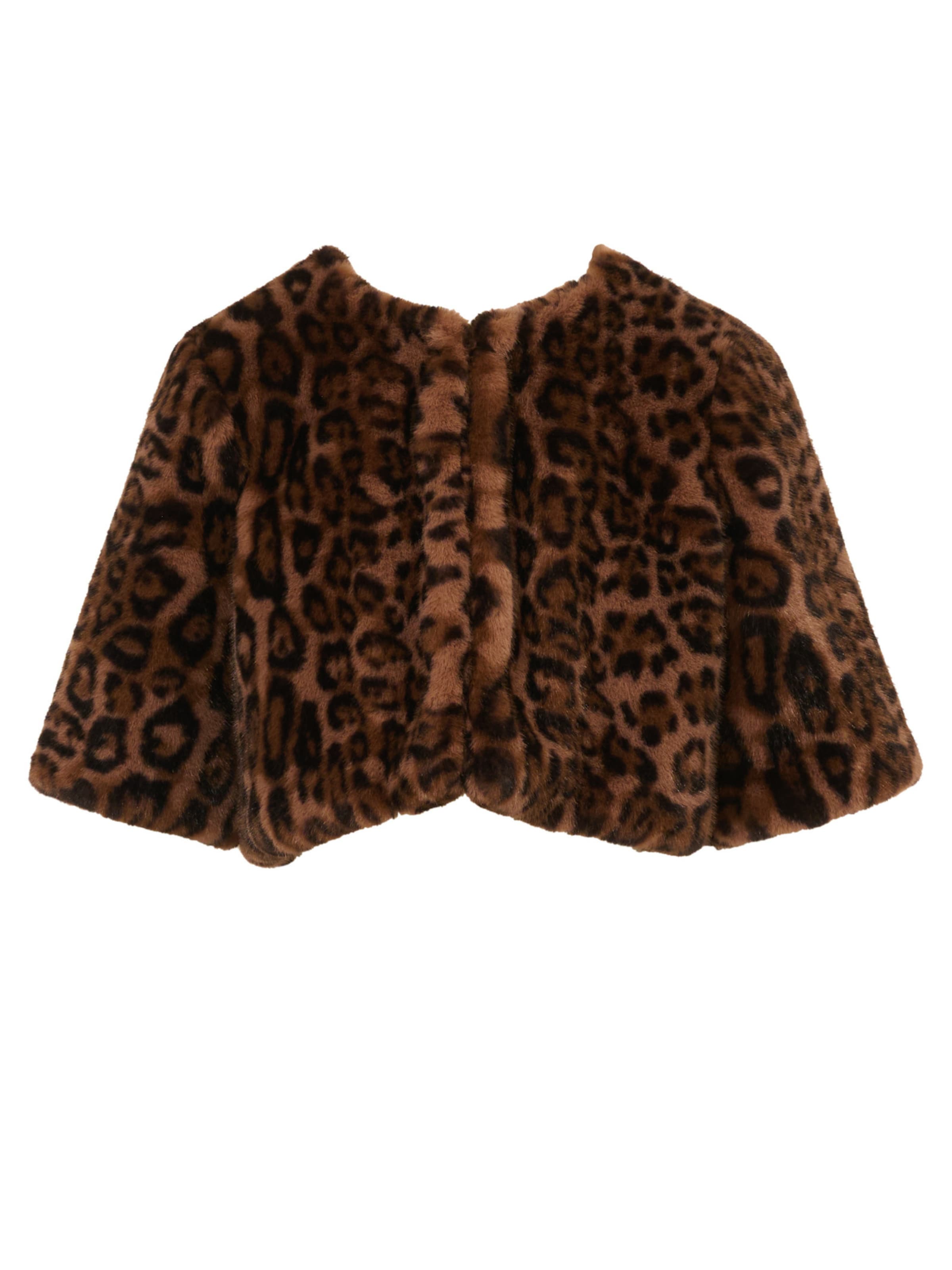 Adrianna Papell Bolero in Brown: front