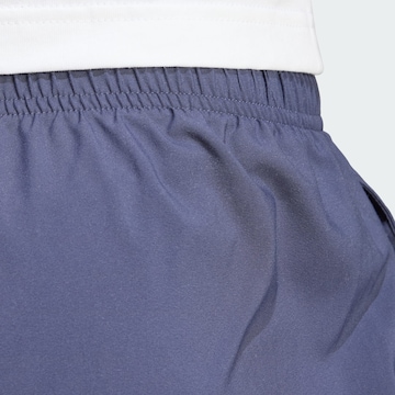 ADIDAS TERREX Regular Outdoor Pants 'Multi' in Blue