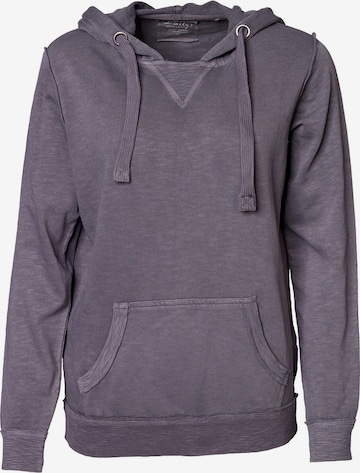 Daily’s Sweatshirt in Grau: predná strana