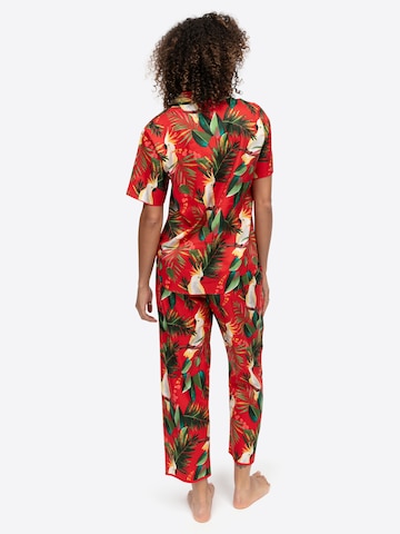Cyberjammies Pyjamabroek ' Tara ' in Rood