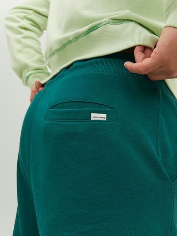 regular Pantaloni 'Shark' di JACK & JONES in verde