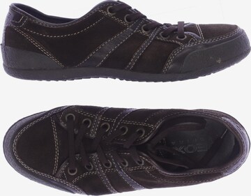 GEOX Flats & Loafers in 36 in Brown: front