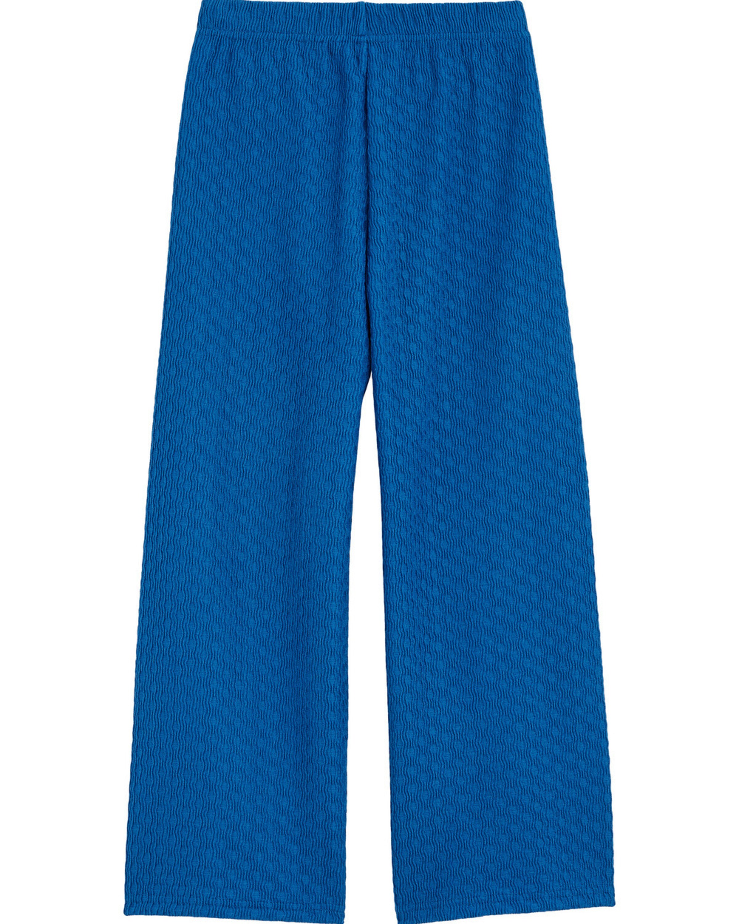 WE Fashion Regular Trousers in Blue