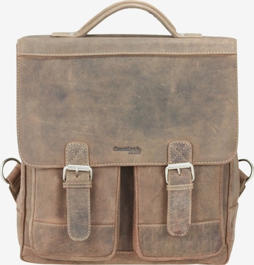 Borsa a tracolla di Greenland Nature in grigio: frontale