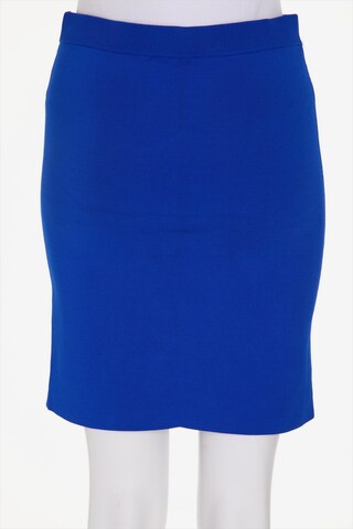 Alexander Wang Skirt in M in Blue