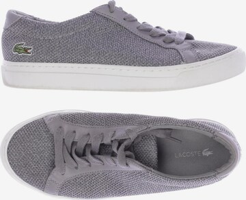 LACOSTE Sneakers & Trainers in 35,5 in Grey: front