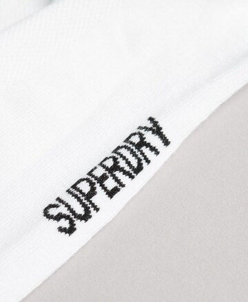 Superdry Sportsokken in Wit