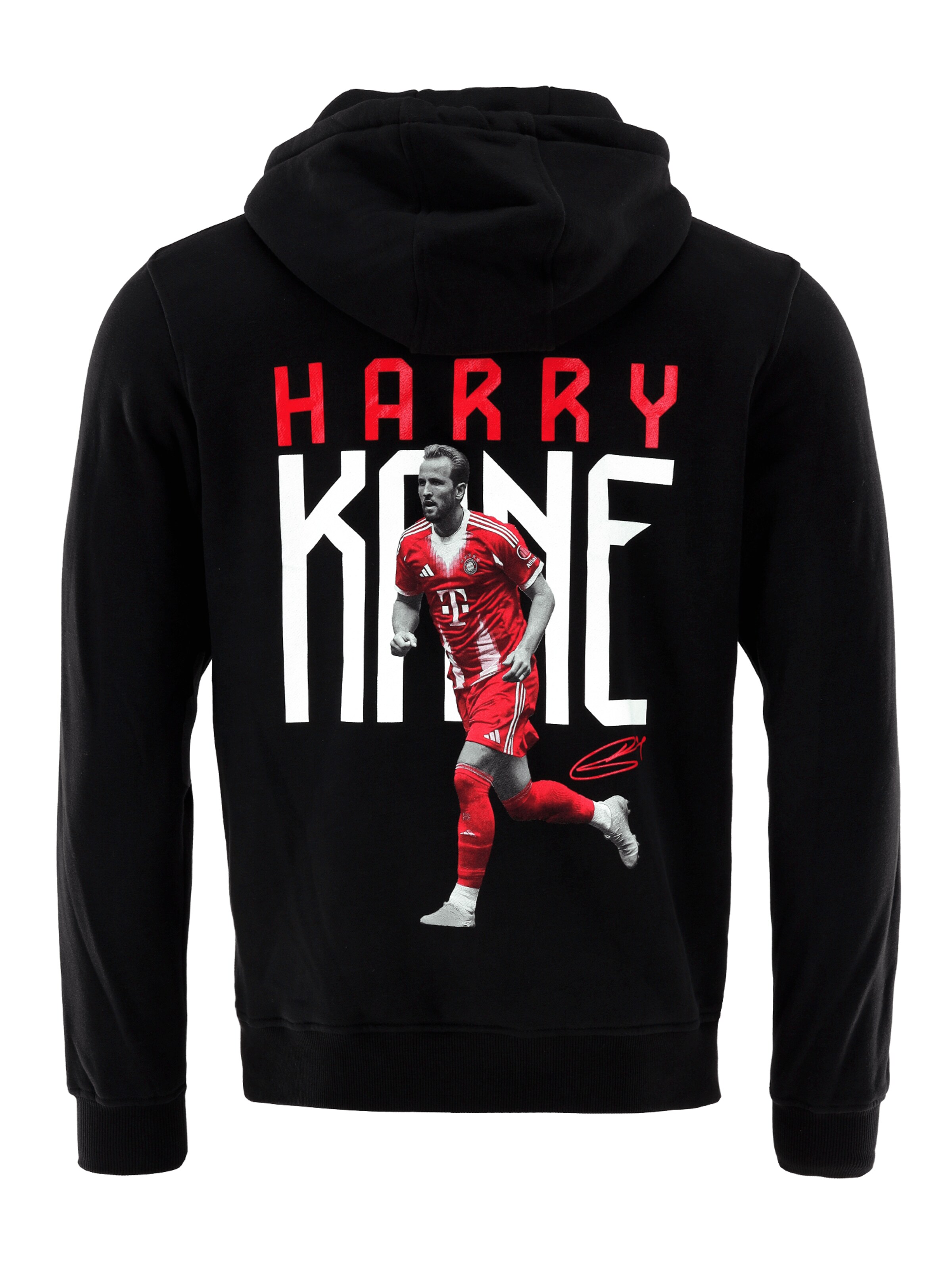 FC BAYERN MÜNCHEN Hoodie Kane in Schwarz: Vorderseite