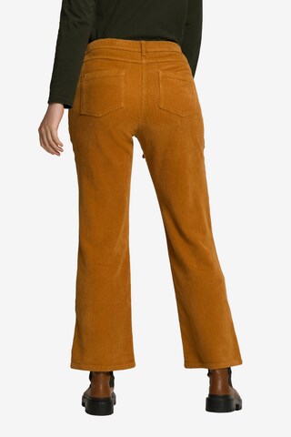 Ulla Popken Bootcut Hose  (GOTS) in Braun