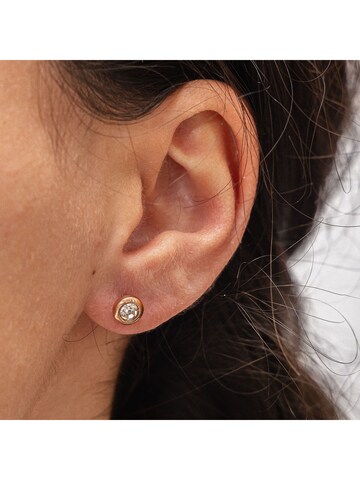 Zeeme Ohrringe in Gold