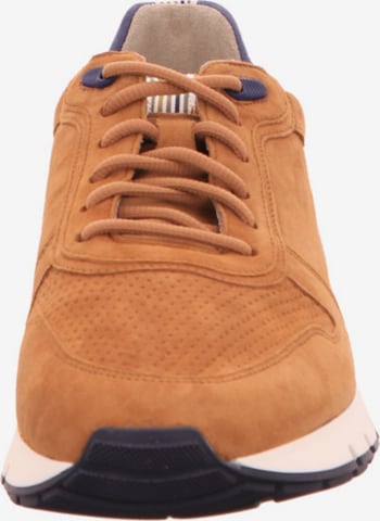 Pius Gabor Sneakers in Brown