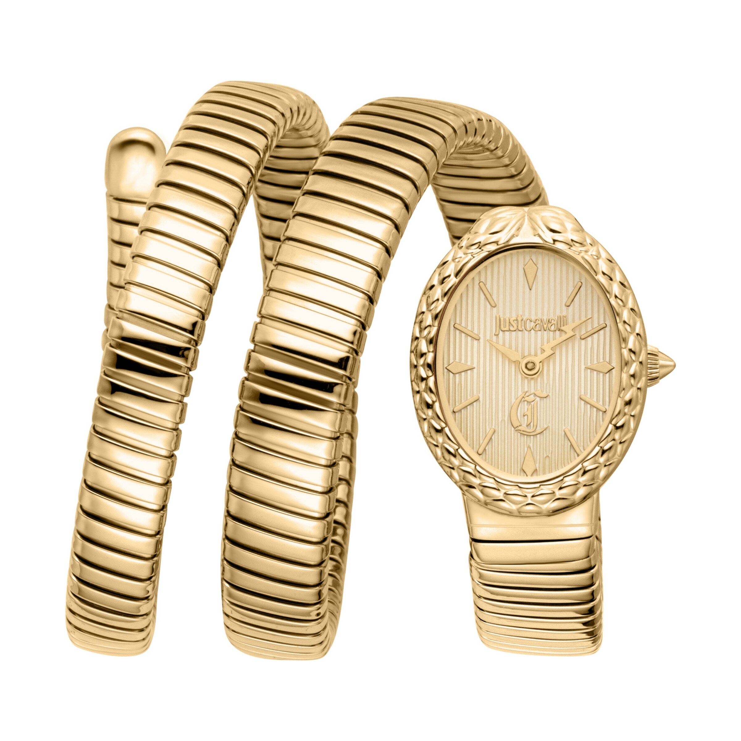 Just Cavalli Time Analog Watch in Gold: front