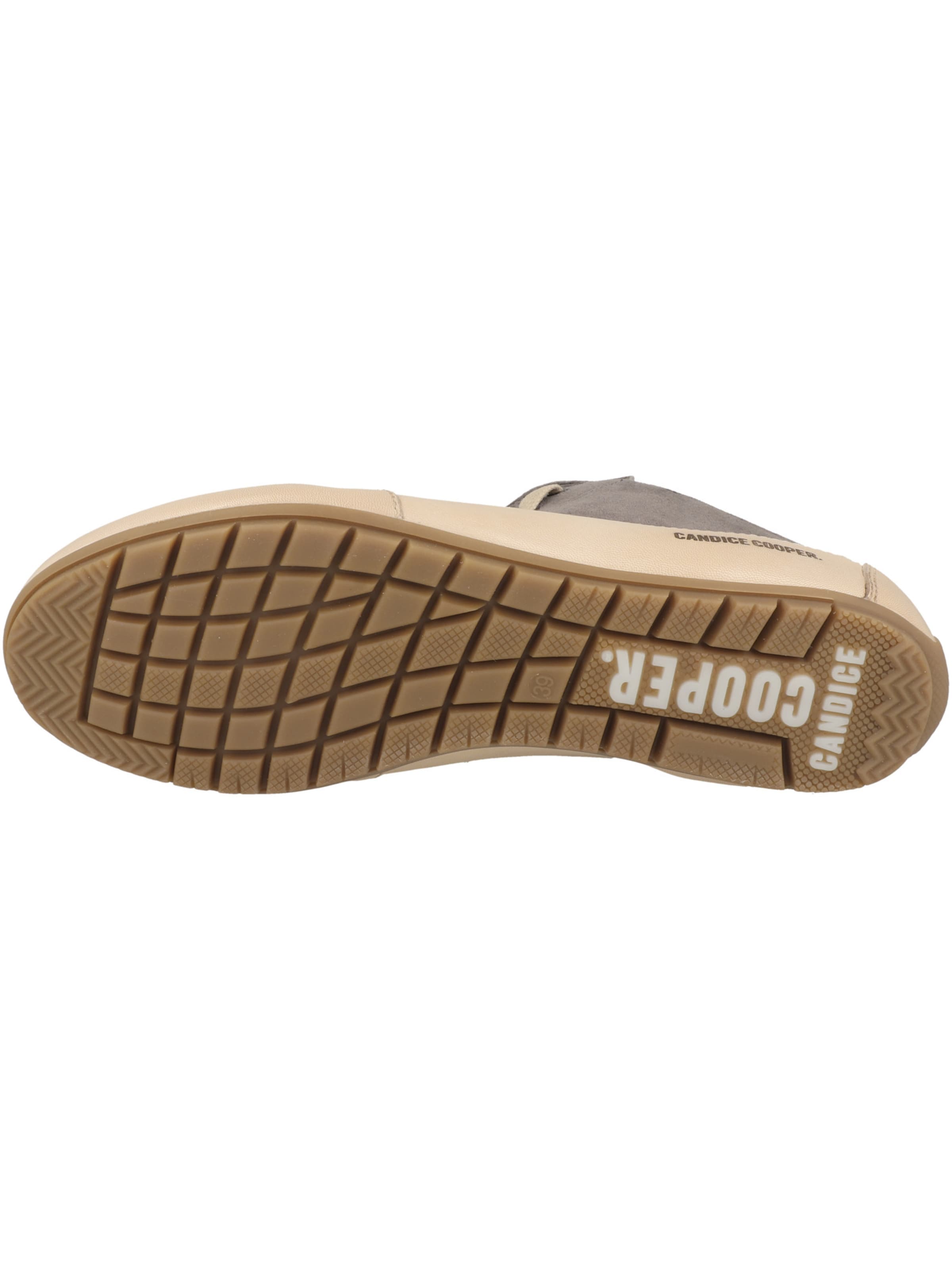 Candice Cooper Sneakers in Grey