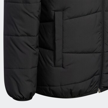 ADIDAS SPORTSWEAR Outdoor jacket 'Padded Winter' in Black