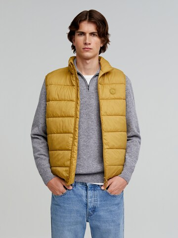 Gilet 'New Gstaad' Scalpers en vert