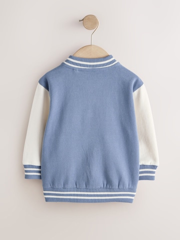 mėlyna Next Demisezoninė striukė