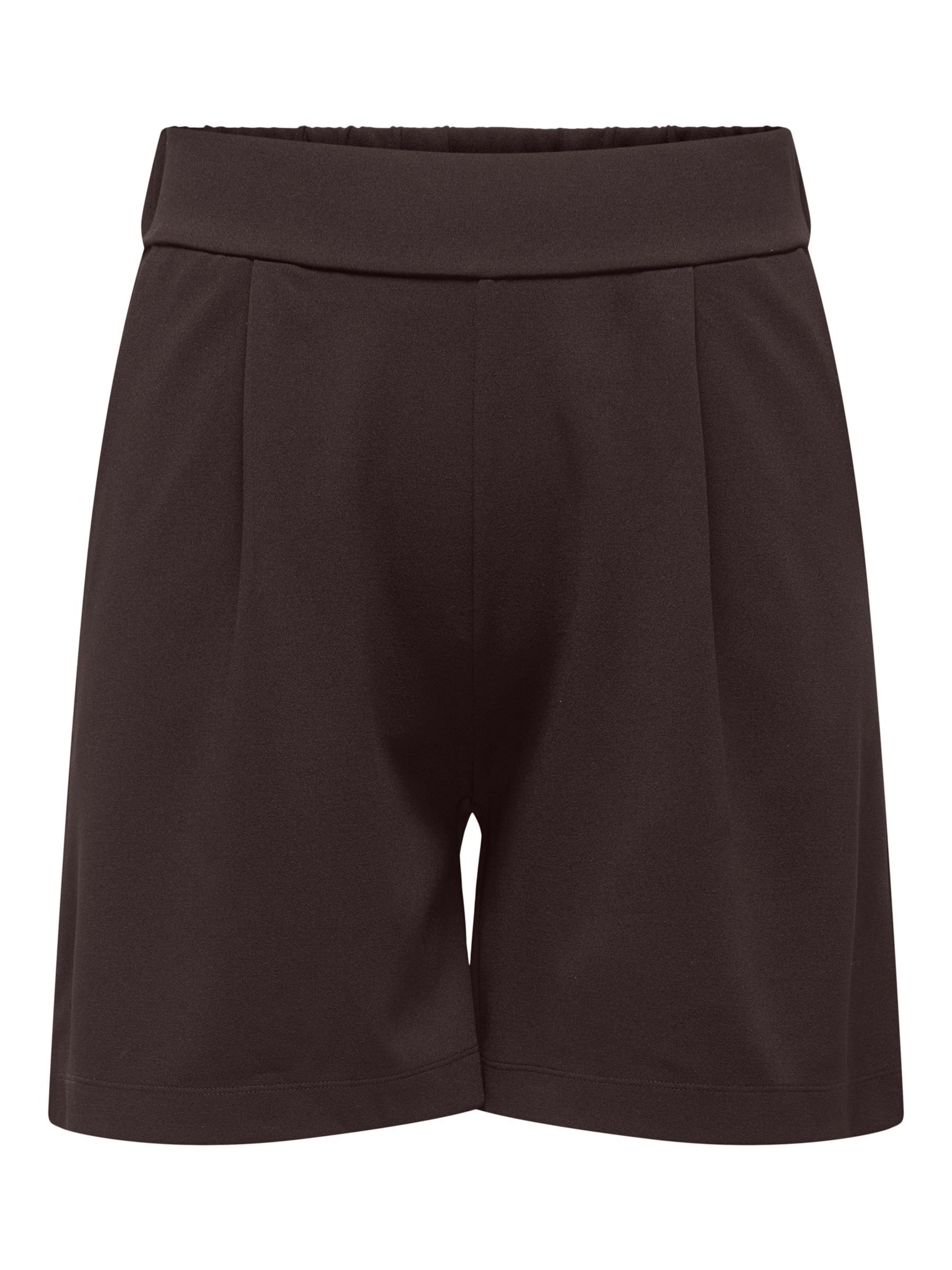 ONLY Carmakoma Regular Pleat-Front Pants in Brown: front