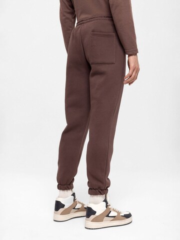 Antioch Tapered Trousers in Brown