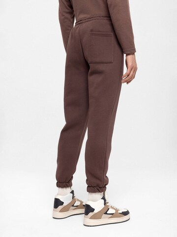 Antioch Tapered Broek in Bruin