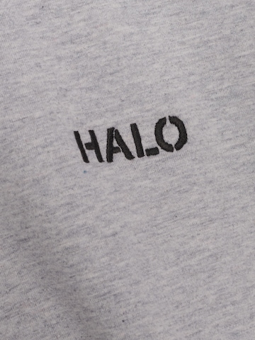 HALO Shirt in Grijs