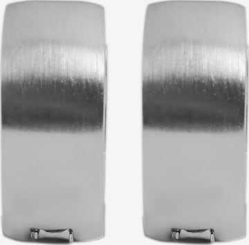 Akzent Earrings 'Gloie, langlebig' in Silver: front