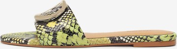 Kazar Mules in Green: front