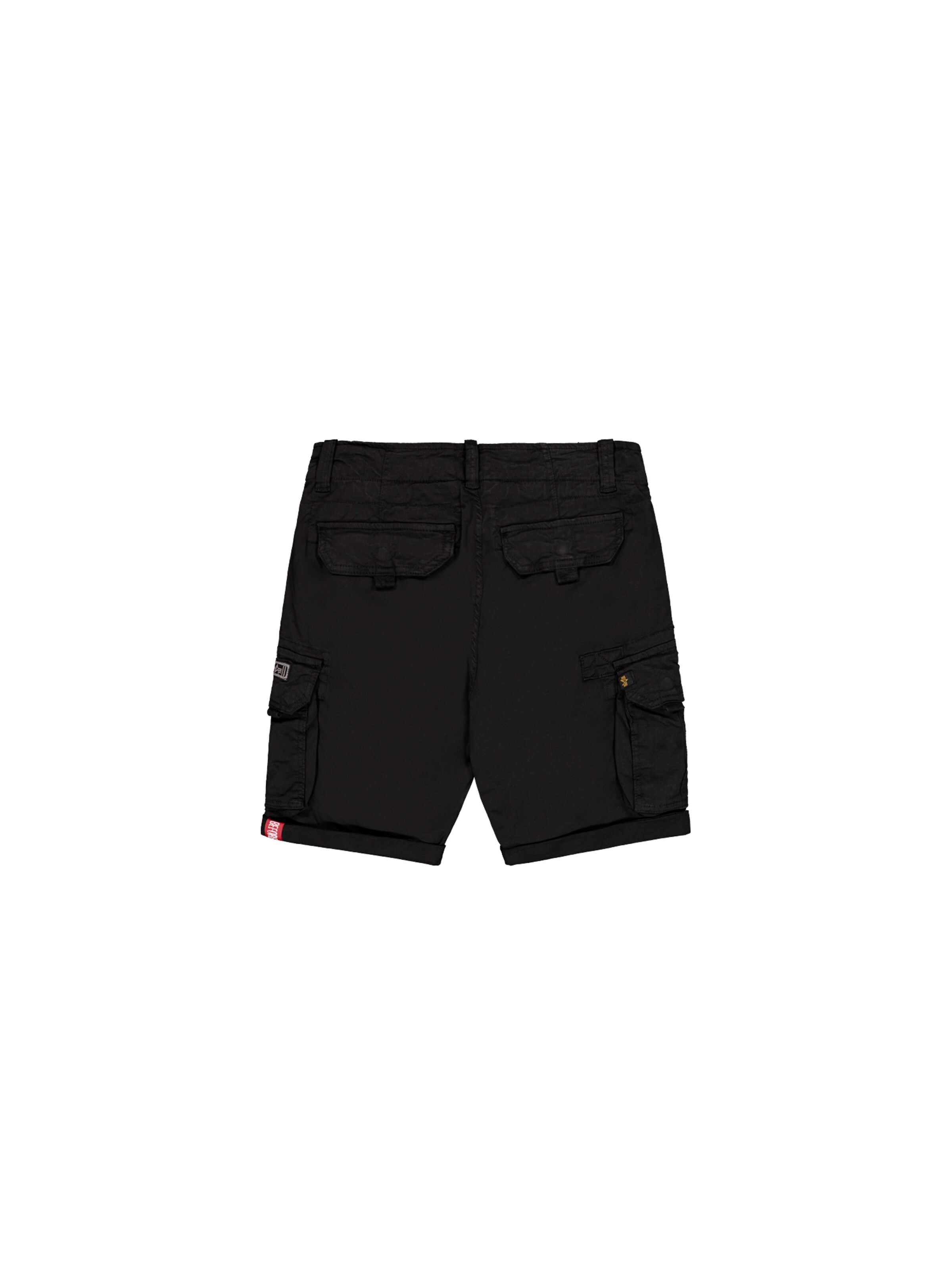 ALPHA INDUSTRIES Regular Hose‌‌‌‌‌‌‌‌‌‌ in Schwarz