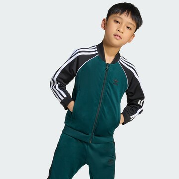 zaļš ADIDAS ORIGINALS Treniņtērps 'Adicolor'
