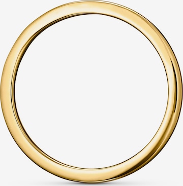 GUIA Ring in Yellow