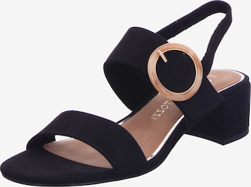 Sandales MARCO TOZZI en noir : devant