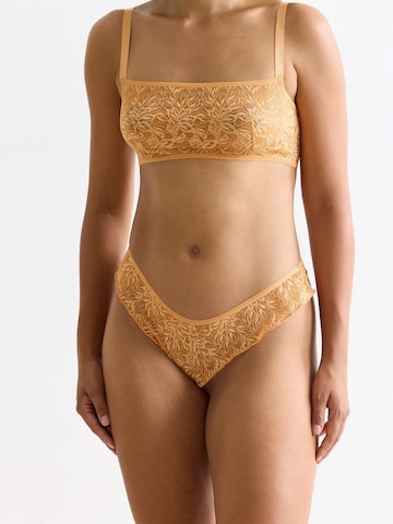 Erlich Textil - Tanga 'Iconic Lace' em laranja