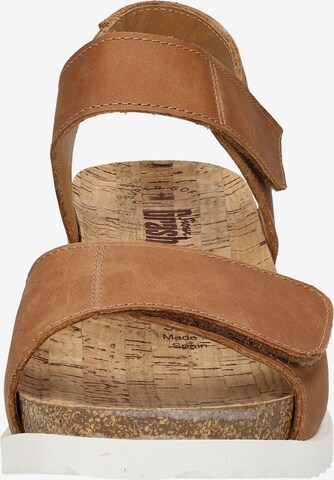 SIOUX Sandals in Brown