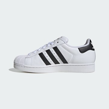 Baskets basses 'Superstar' ADIDAS ORIGINALS en blanc