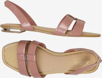ALDO Sandals & High-Heeled Sandals in 38 in Pink: front