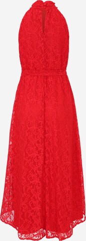 Wallis Petite Sukienka koktajlowa w kolorze czerwony